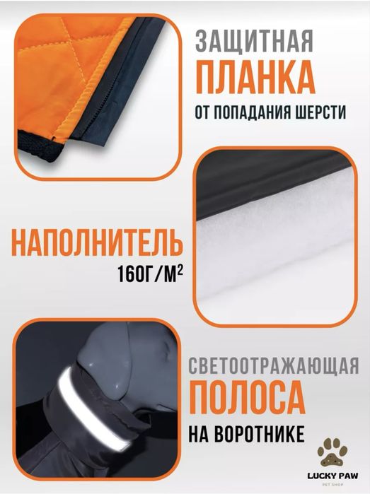 Одежда для собак