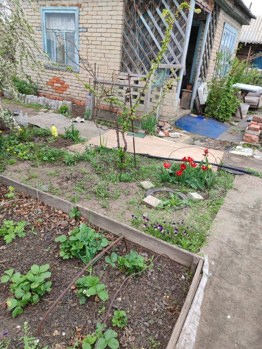 Продам дачу в обществе Колос