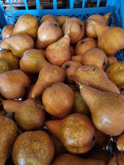Vand pere de consum