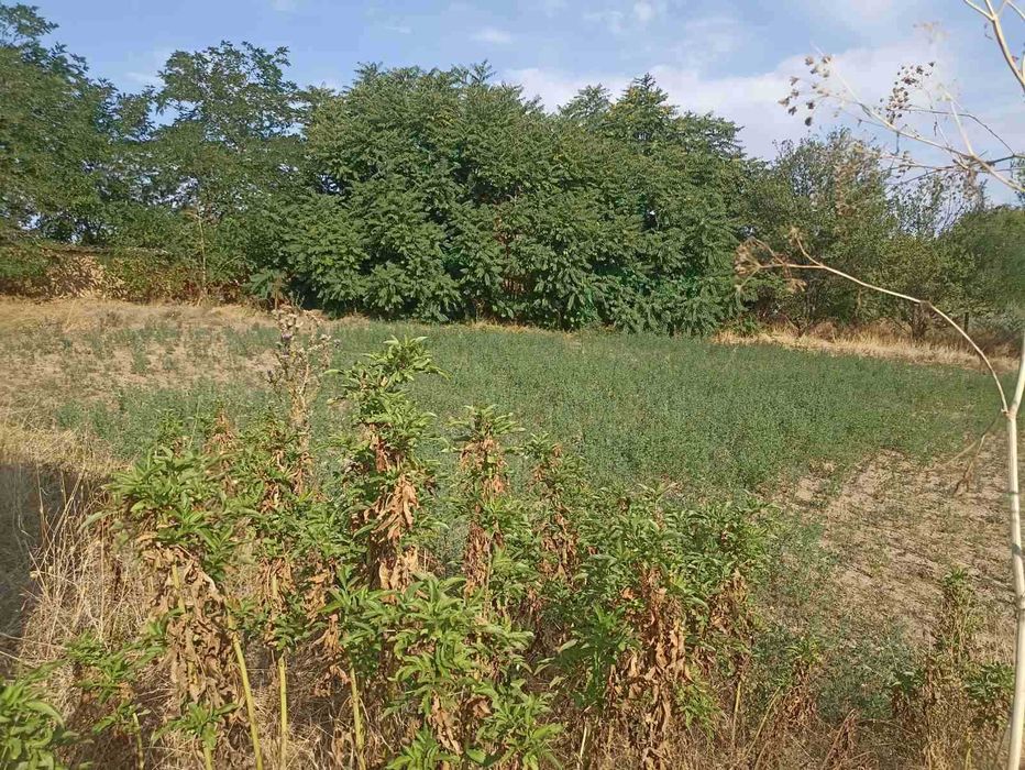 Продава се Парцел в с. Чоба, Област Пловдив - 1540 кв.м за 4 €/кв.м - Снимка #3