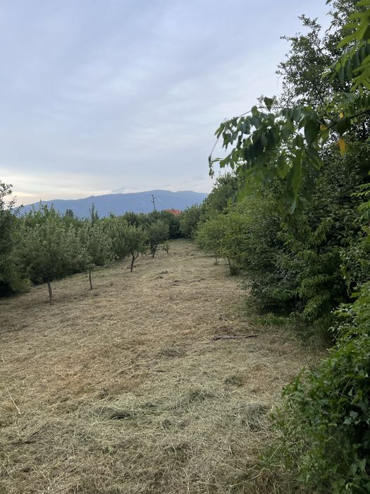 Косене на тревни площи и рязане на дърва и дървета