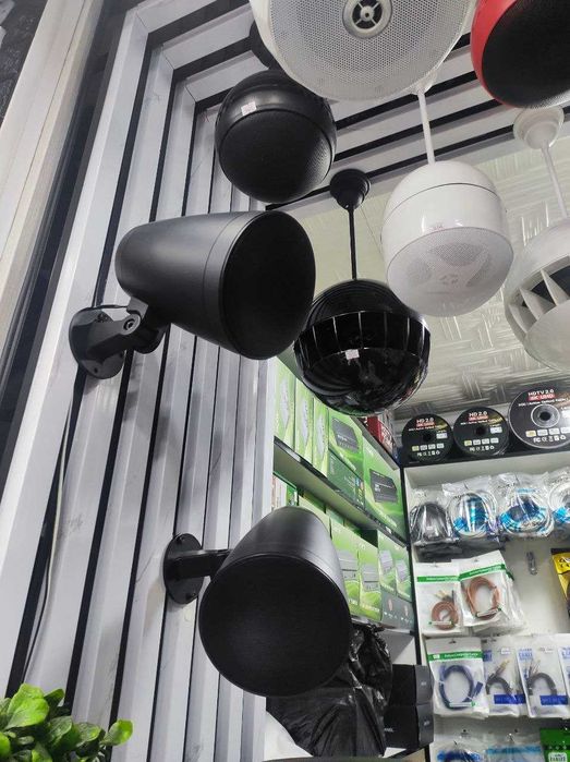 колонки для офиса и ресторана