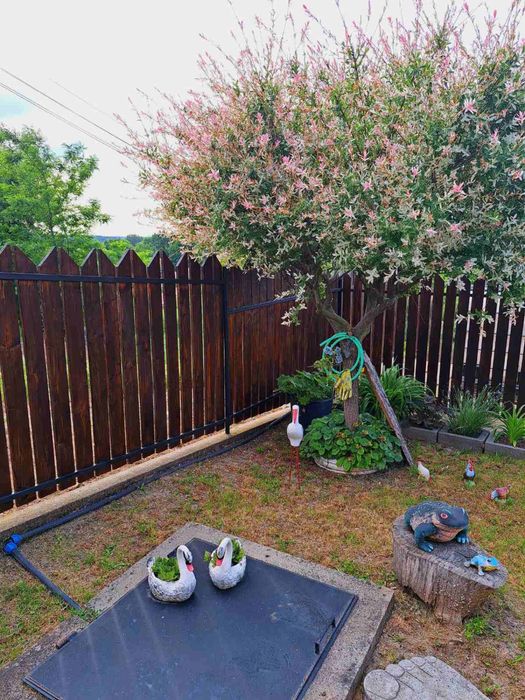 Продава се Къща в с. Лалково, Област Ямбол - 150 кв.м за 387 €/кв.м - Снимка #9