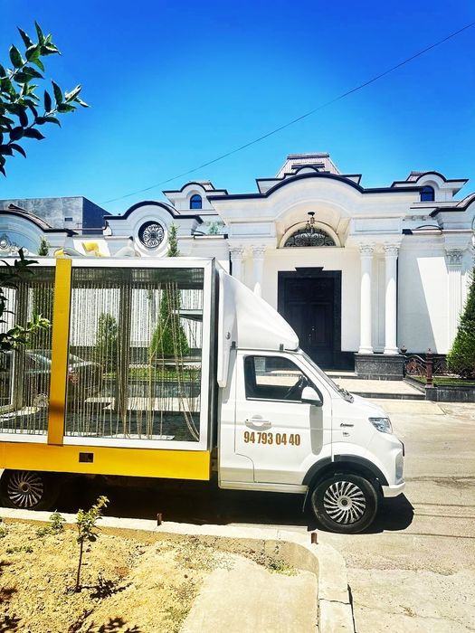 Sarpo moshina hizmati