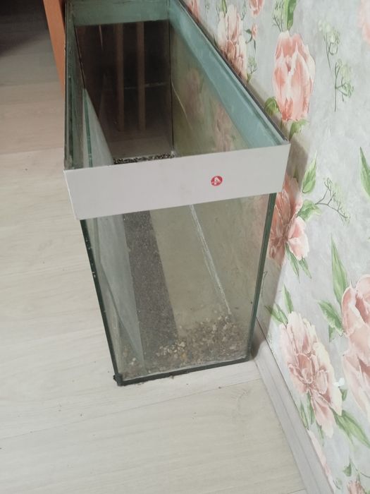 террариум . Террариум