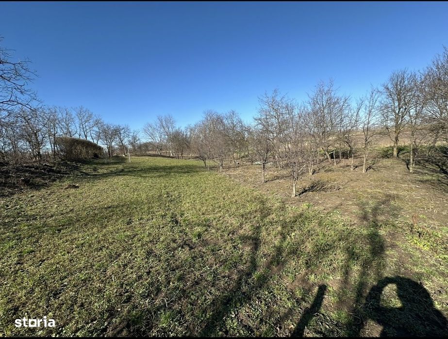 Teren Intravilan in Ambud