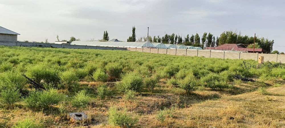 30 сотык участка сатылады