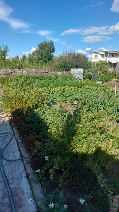Продам дачу в садовом обществе "Дархан"