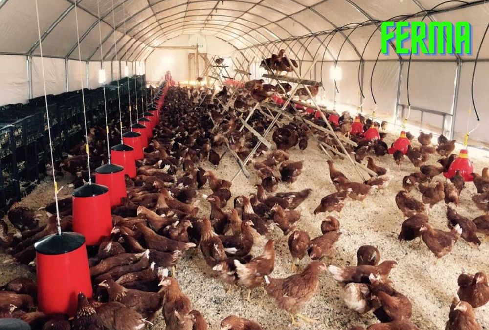 CORT HALA Industrial IZOLAT LICHIDARE STOC corturi neizolate