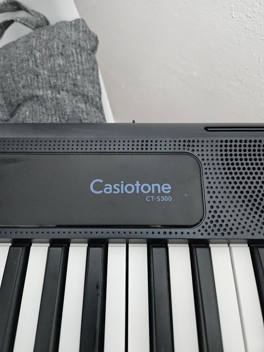 Orga Casiotone ct-s300