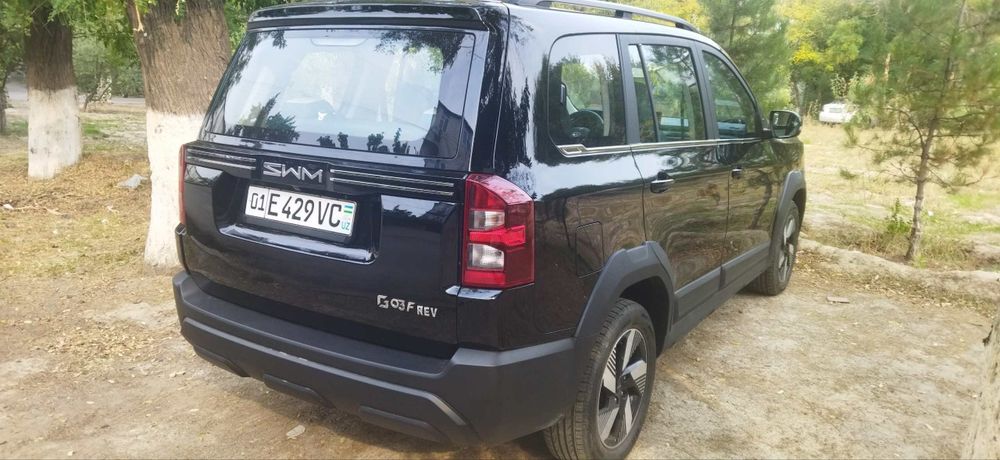 SWM G03 (China Gibrid)