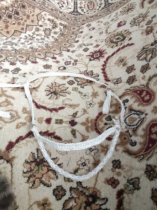 Ноқта жылқыға 8-12өрім