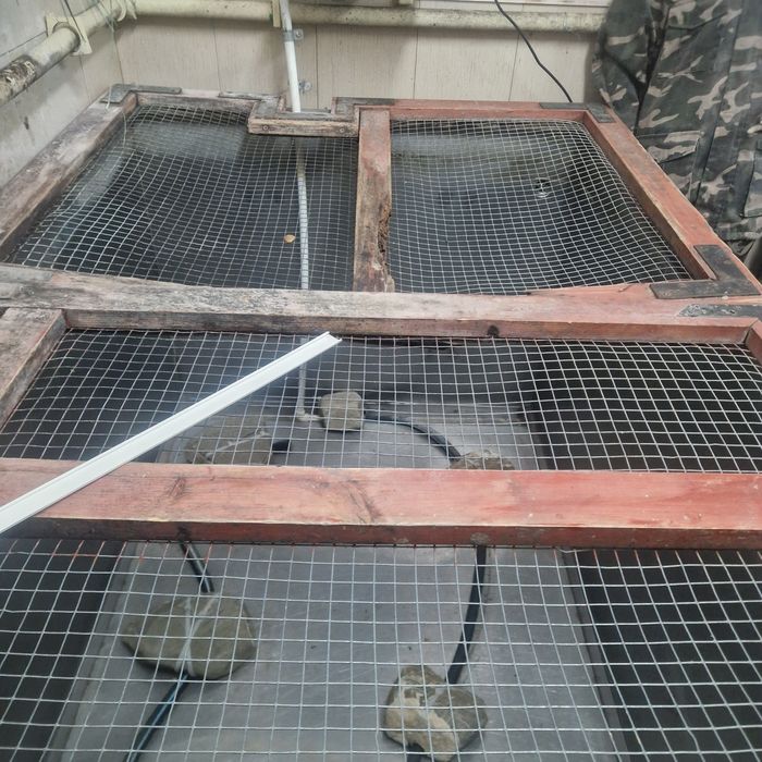 Bazin de inox 2000 litri