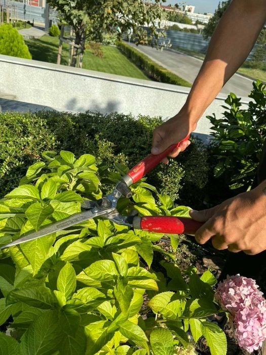 Озеленяване и поддръжка