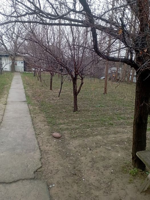 Chirchiqda 13 sotx yer sotiladi. 65000$