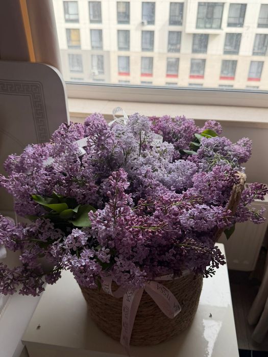 Букет цветы Гүл Сирень