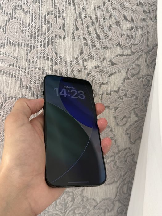 iPhone 16 pro max