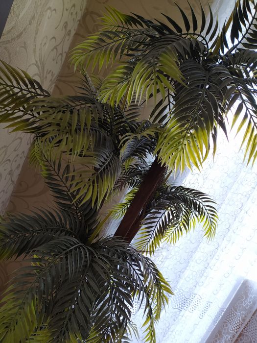 Аренда двухкомнатной квартиры в городе