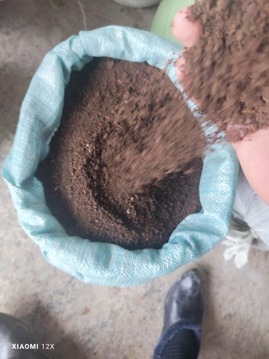 BIOGUMUS sotiladi 50 tonna bor