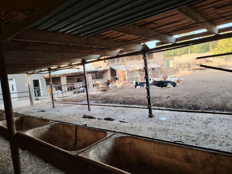 Срочно продается земля с готовым бизнесом 8 соток