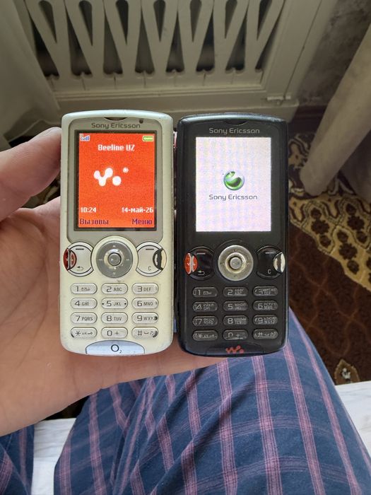 Sony Ericsson w810