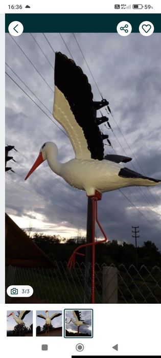 Barza cu aripile întinse