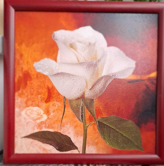 Set 2 tablouri decorative cu trandafiri – înrămate