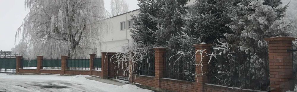 Dau in chirie  220 + 200 mp (parter + demisol), cladire Feleacu + hala