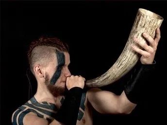 Coarne Lupta Viking , Coarne de baut , corn dr taur