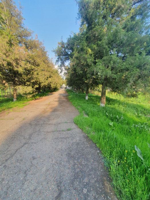 Нотурар бино иншоатлари