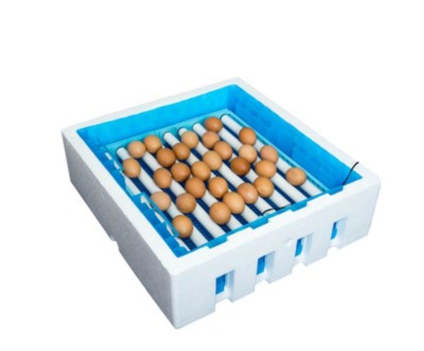 inkubatõr 7 xil paranda chiqarishga moslashtirilgan 3 yil garantiya