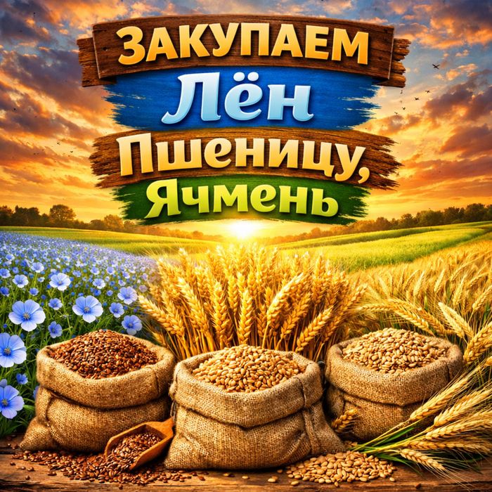 Принимая пшеницу лён