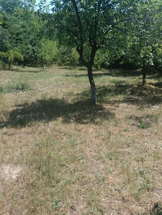 Vind teren extravilan