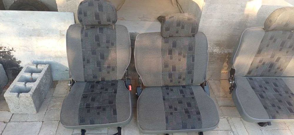 Damas sideniya 2024-yil