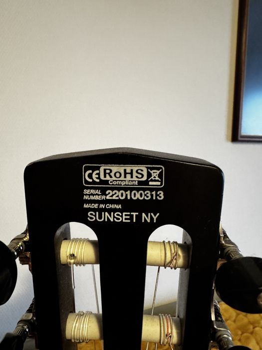 Chitara Cort Electro Clasica