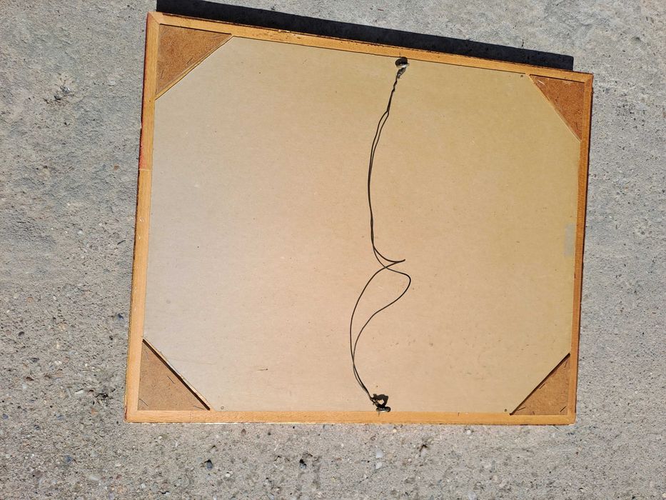 tablou goblen 49/59 cm