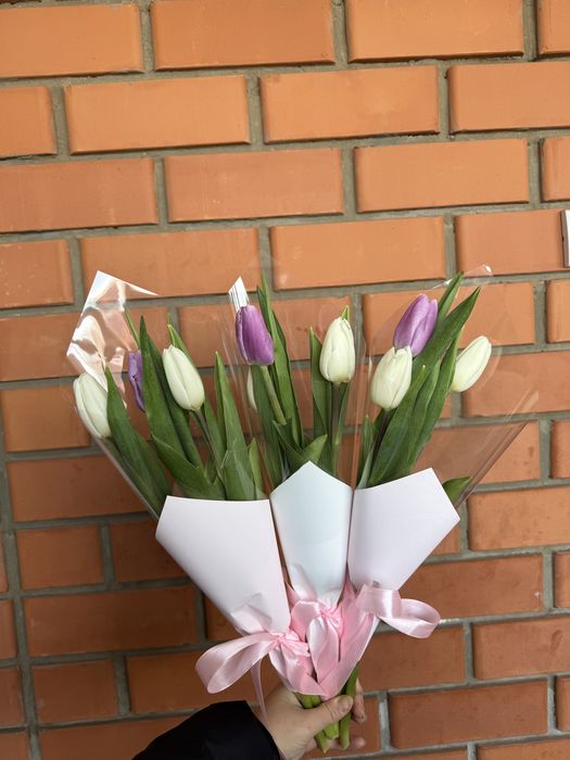 Тюльпаны к 8 марта по 800 тг/шт