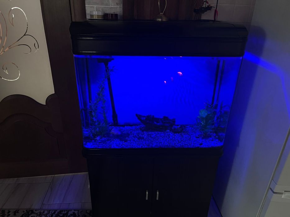 Аквариум 165 литров с рыбками