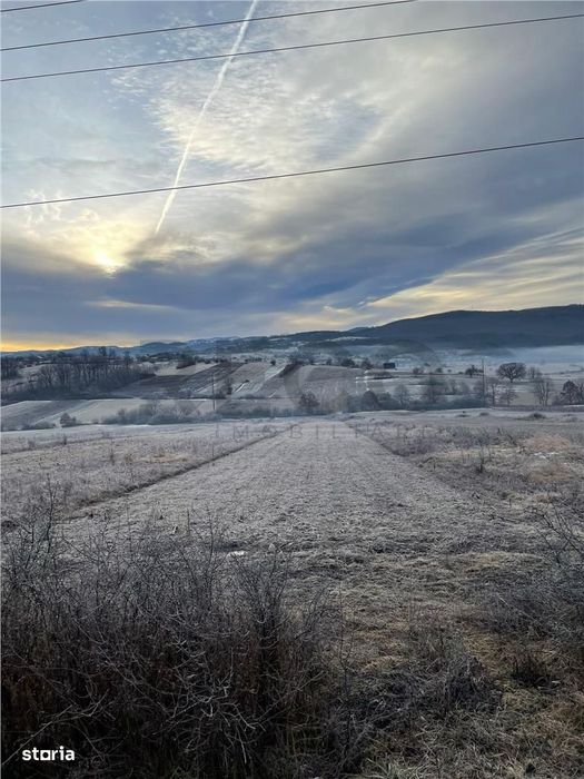 RECO teren Vadu Crisului