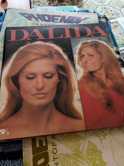 Discuri Vinilin pentru muzica usoara