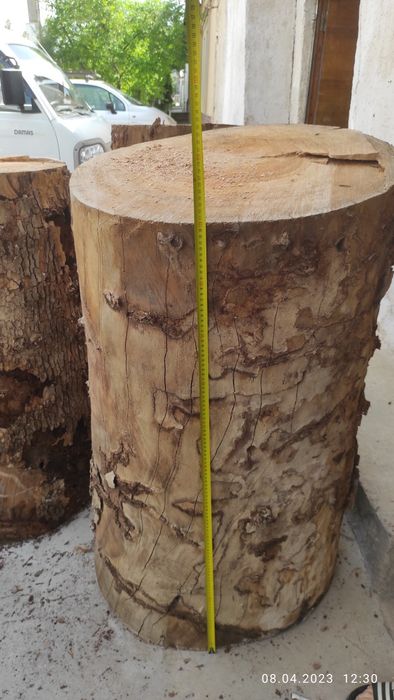 Kunda qassoblaga chinor