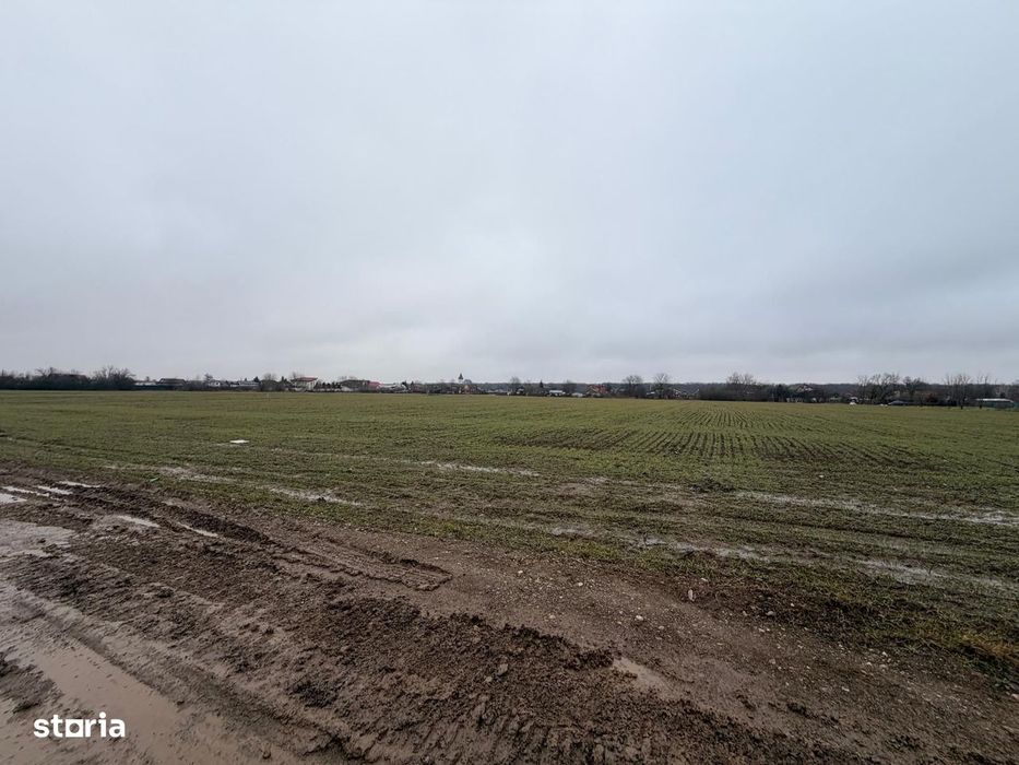 Teren Snagov - Cioflinceni | Drum amenajat | Aproape de Padure si Lac