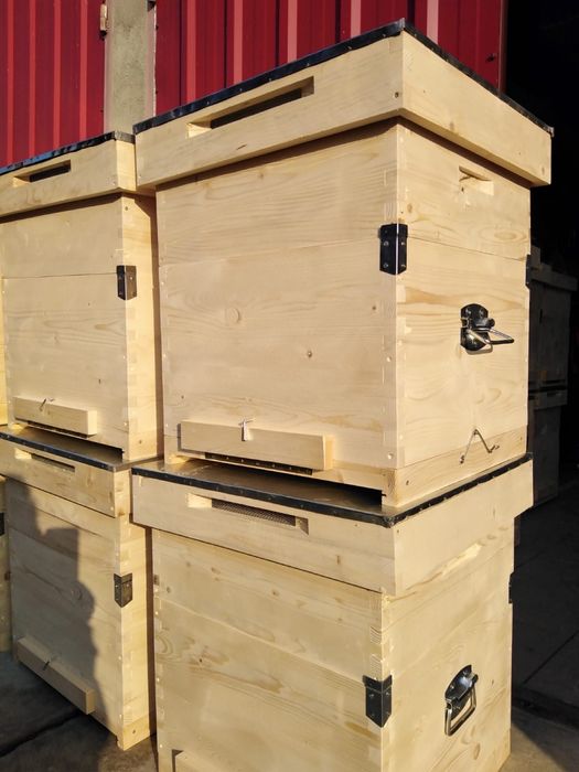 5 Stupi albine pe 10 rame, complet echipati grosime lemn la cuib 22mm