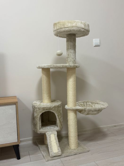 Котешка катерушка