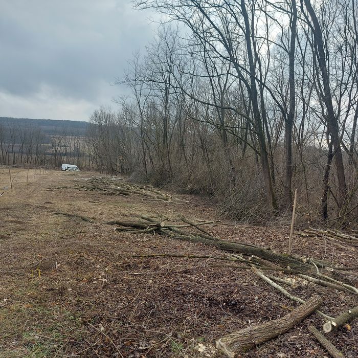 Cosit,defrișări,toaletare copaci la inaltime oferim servicii complete