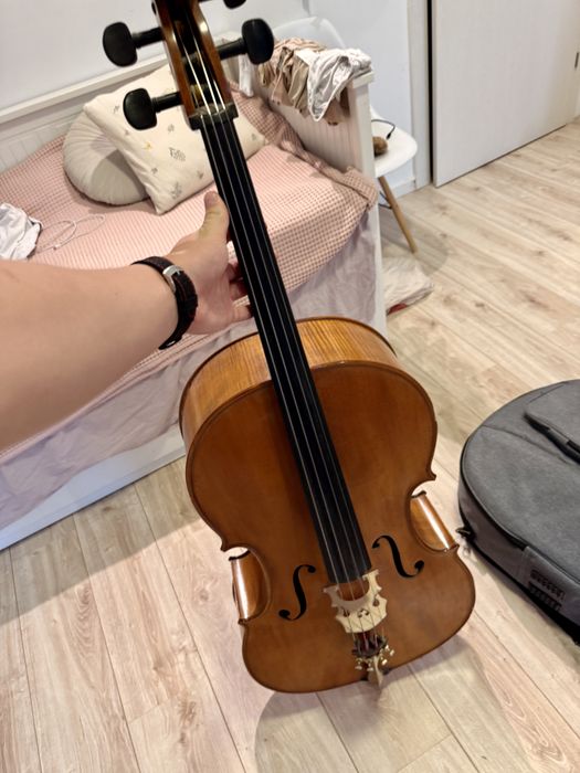 Violoncel profesional