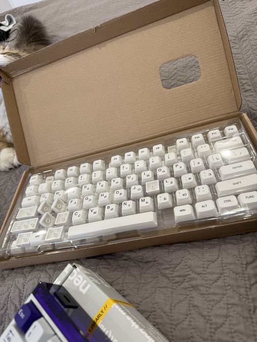 Клавиатура Wooting 60HE+