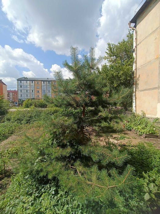 Продам 3ком квартиру в районе Береке