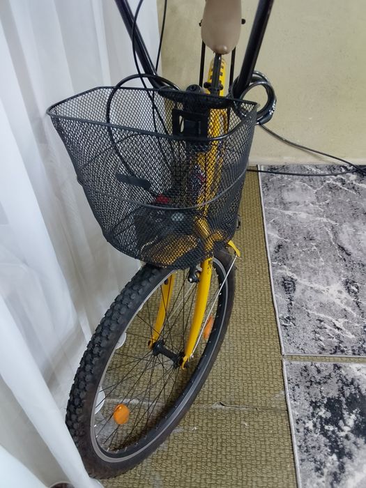 Vand bicicleta PEGAS model mare