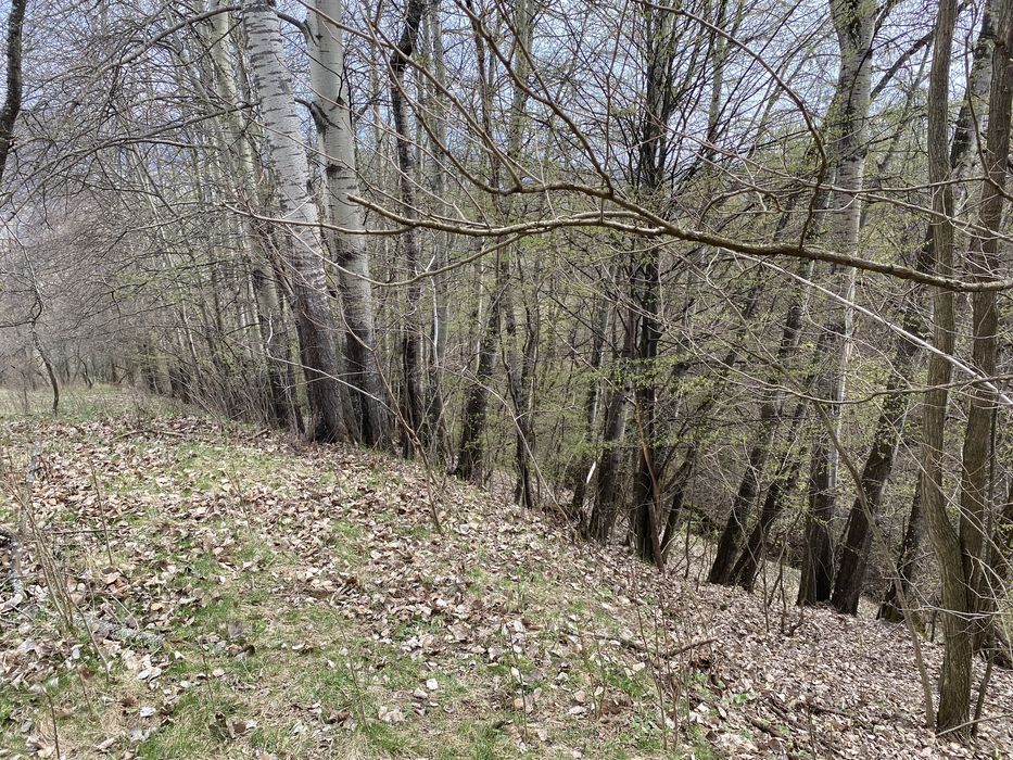 Teren intra/extravilan